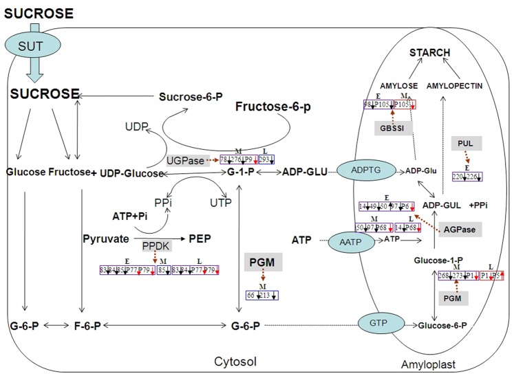 Figure 10