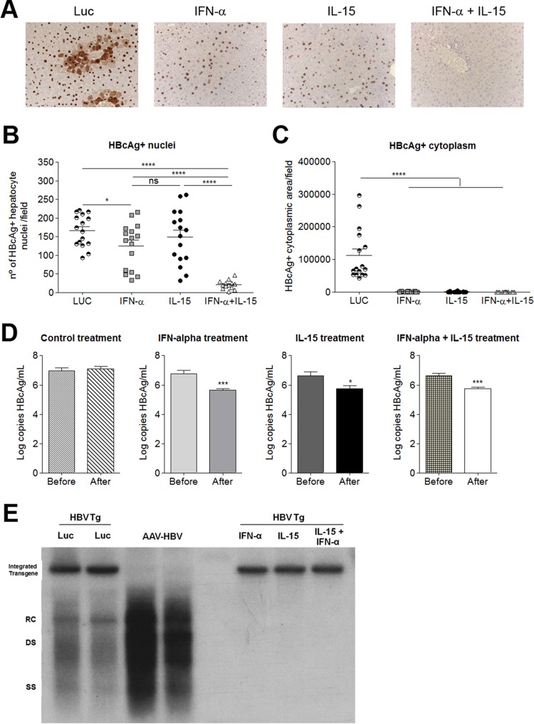 FIG 2