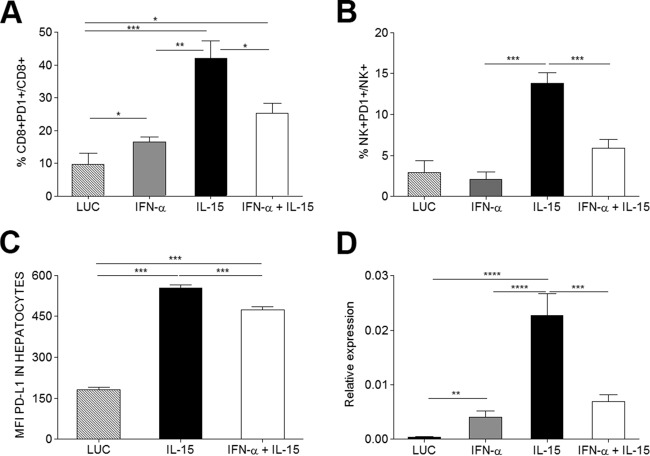 FIG 6