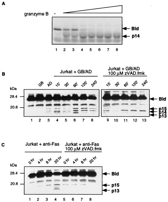 FIG. 9