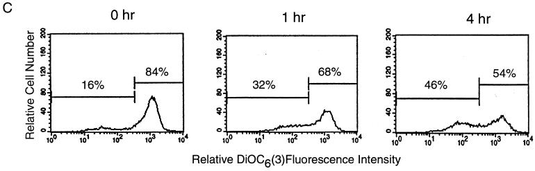 FIG. 8