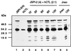 FIG. 7