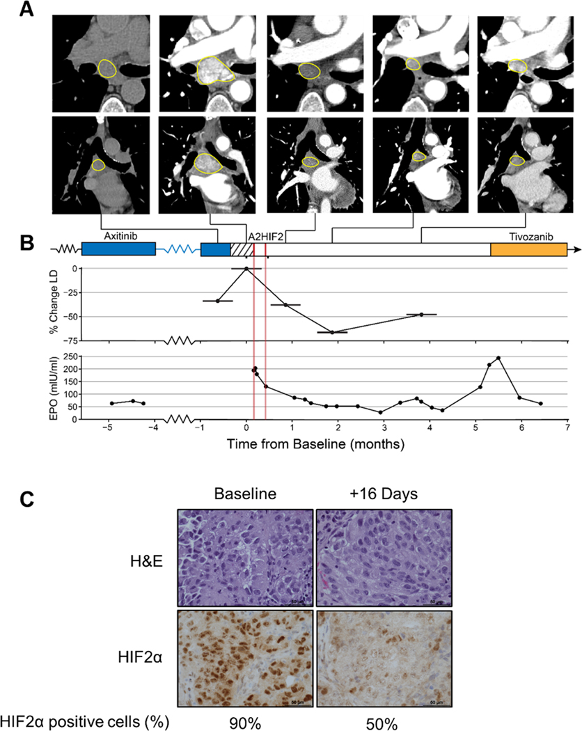 Fig. 6.