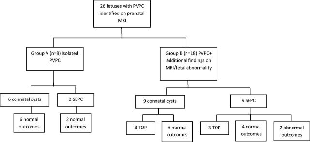 Fig 2.