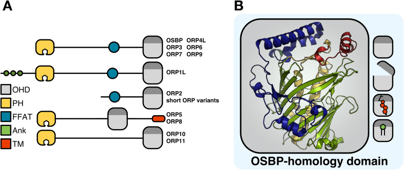 Fig. 1