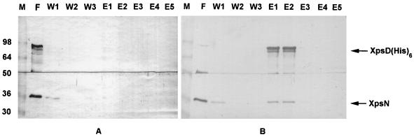 FIG. 6