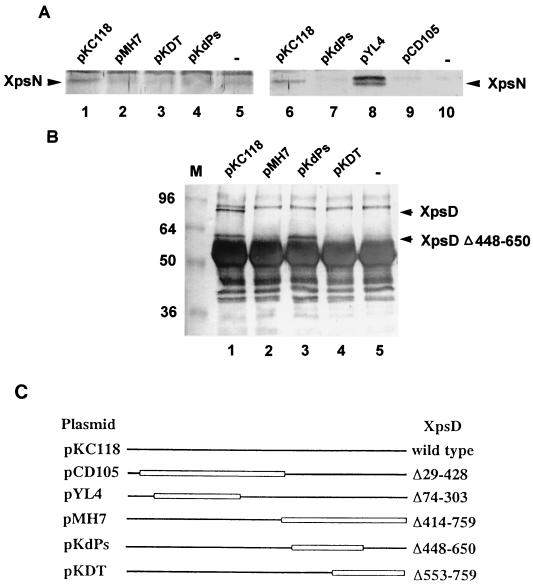 FIG. 7