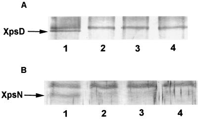 FIG. 5