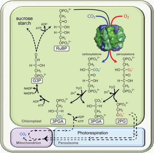 Figure 3.