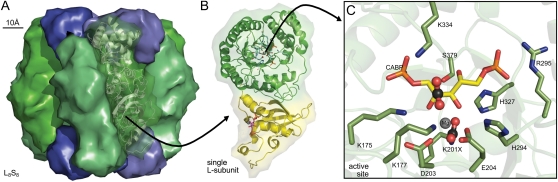 Figure 2.