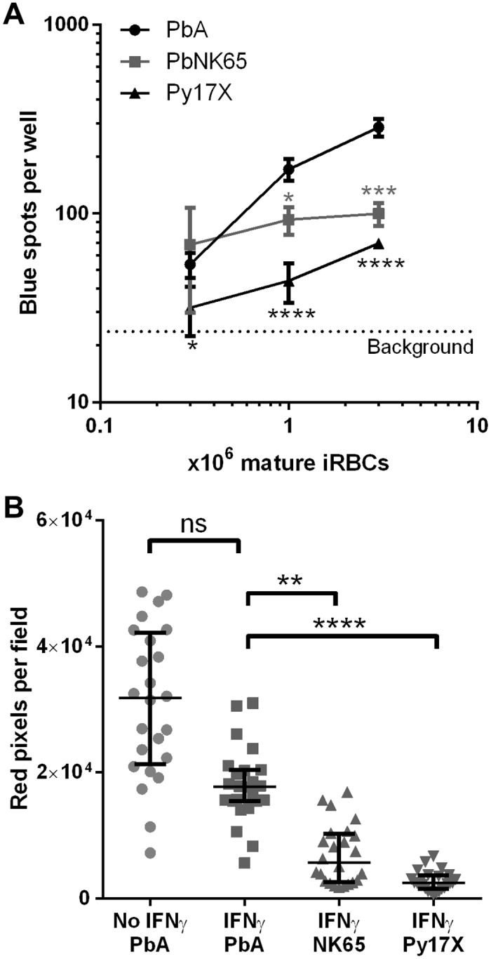 Fig 7