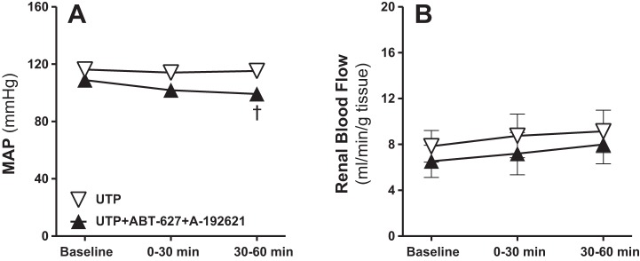 Fig. 10.