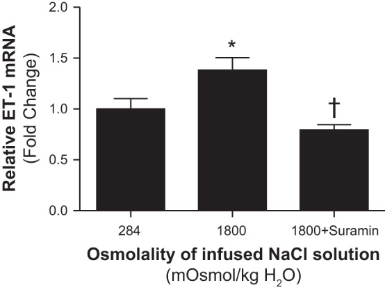 Fig. 8.