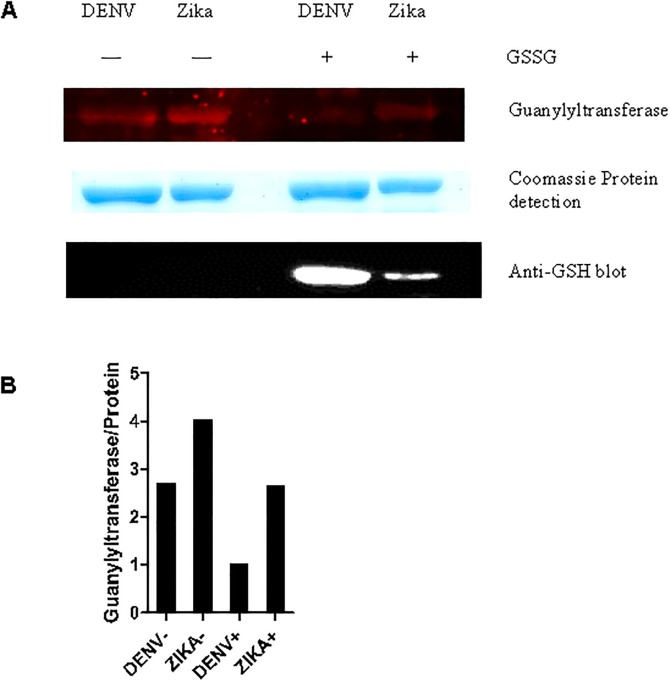 Fig 4