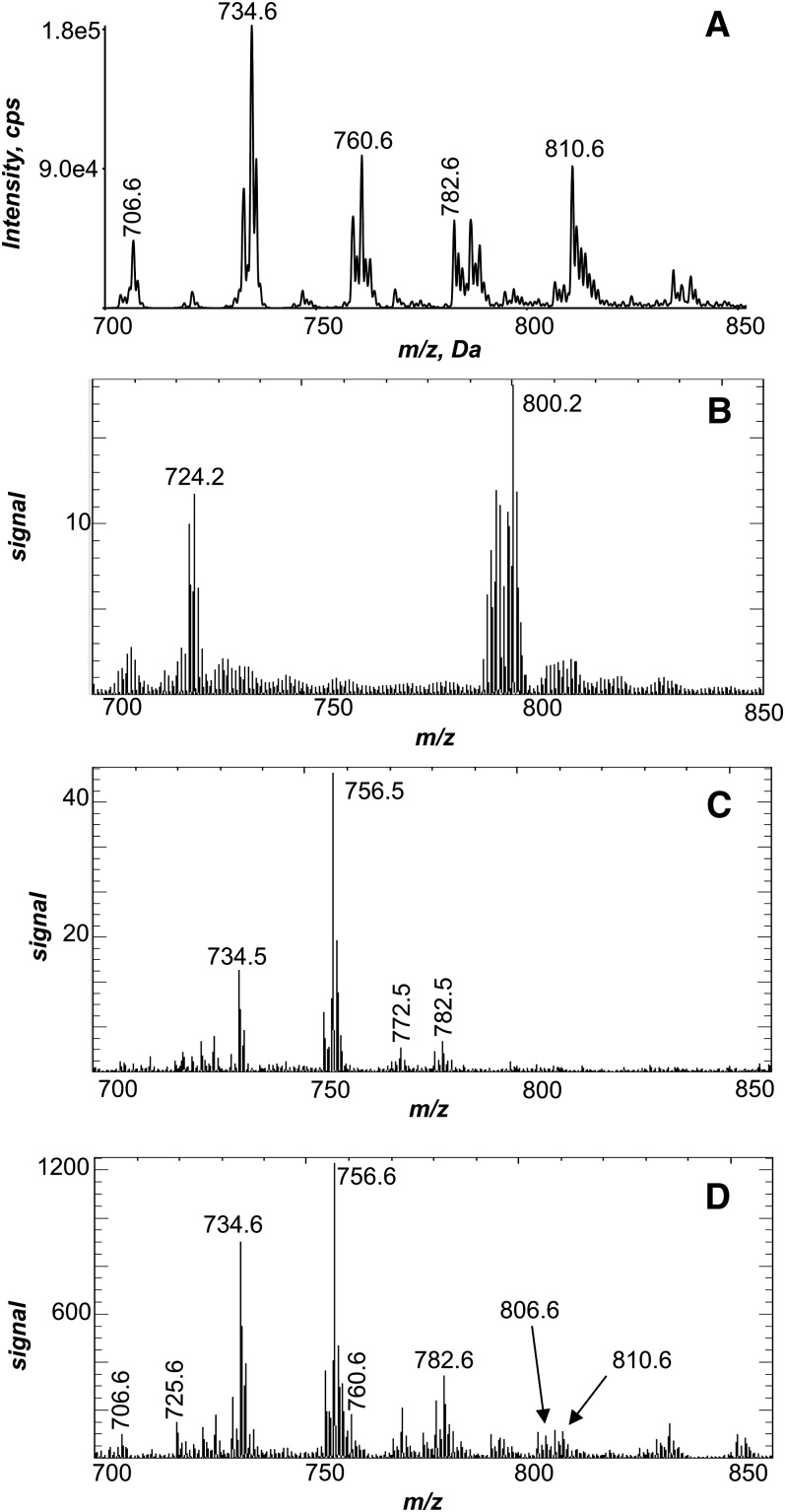 Fig.1.