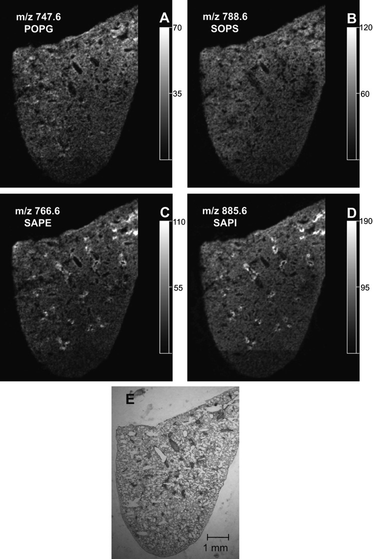 Fig.5.