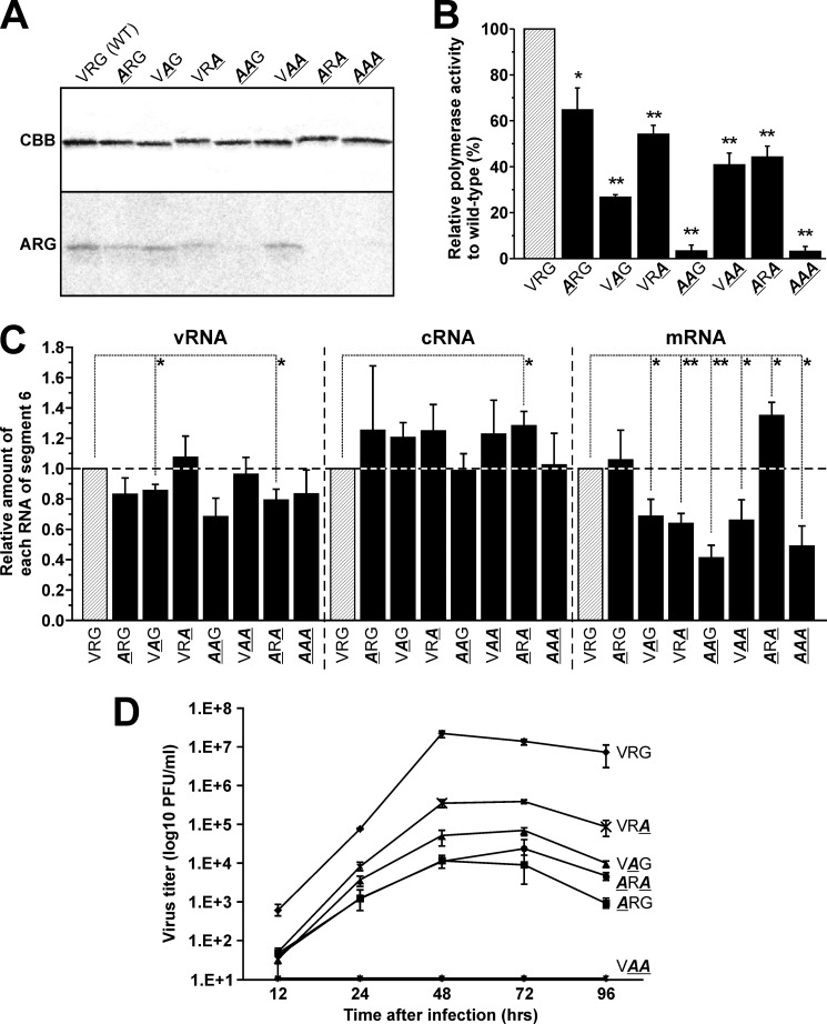 FIGURE 6.