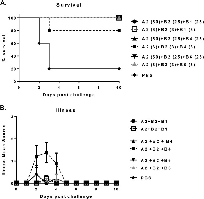 FIG 6