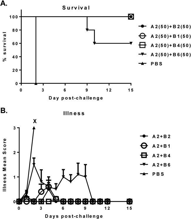 FIG 2