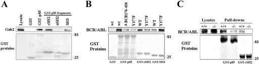 FIG. 5.