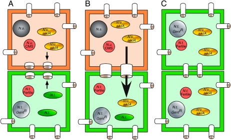 Fig. 6.