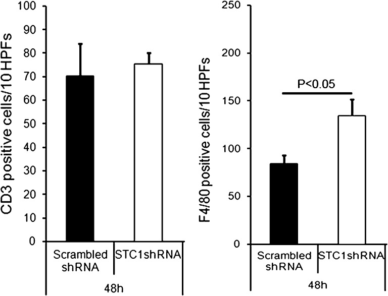 Figure 10.