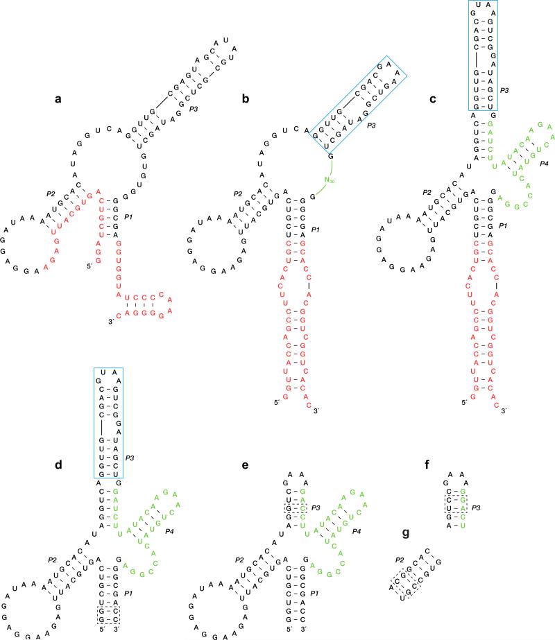 Extended Data Figure 2