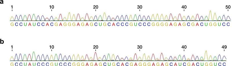 Extended Data Figure 6