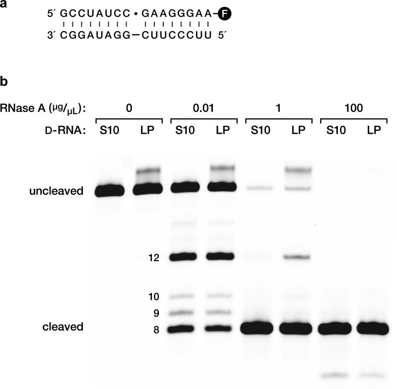 Extended Data Figure 5