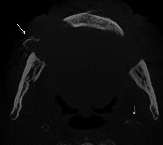 Fig. 7