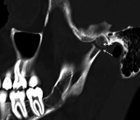 Fig. 9