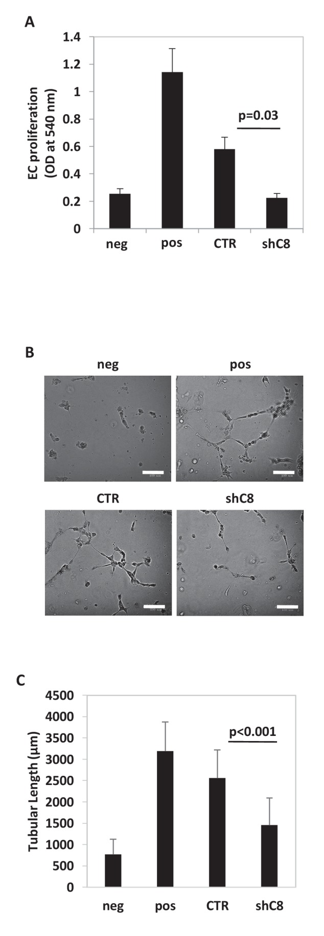 Figure 1—figure supplement 2.