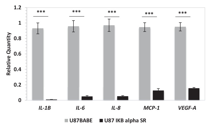 Figure 2—figure supplement 2.