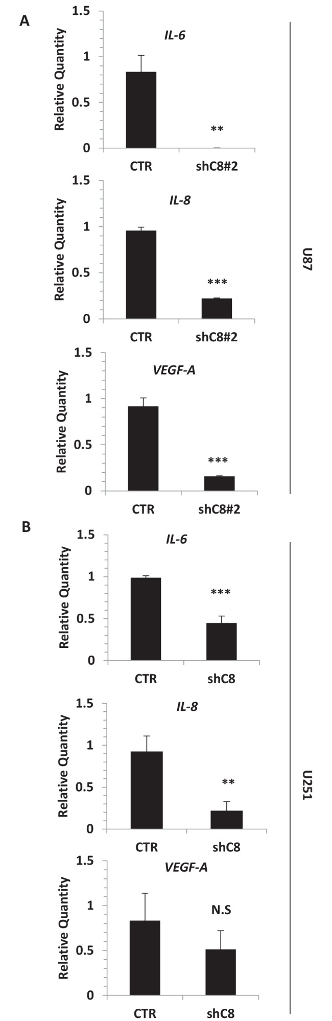 Figure 2—figure supplement 1.