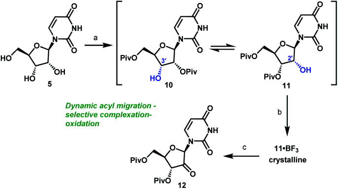 Scheme 3