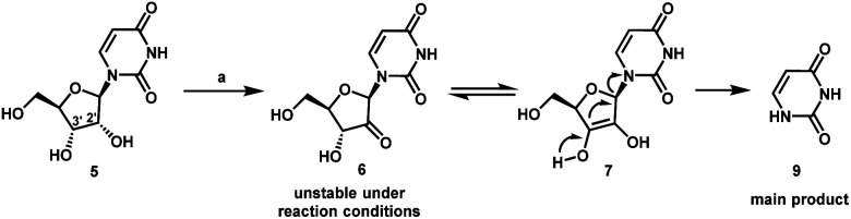 Scheme 2