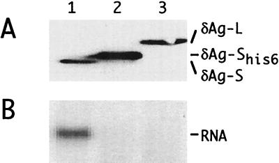 FIG. 8