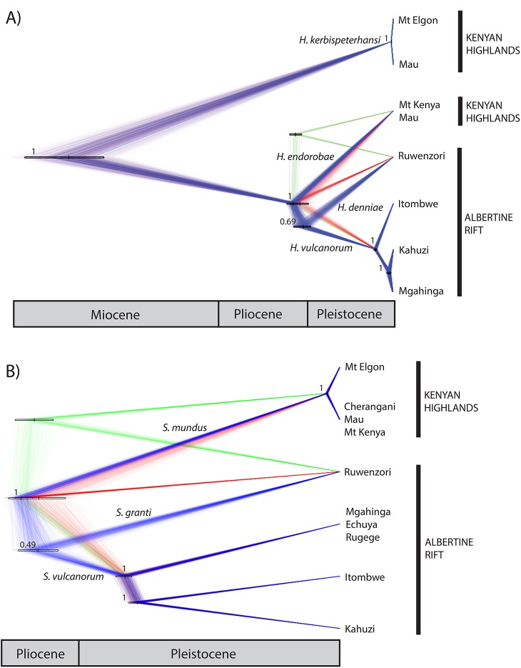 Fig 7