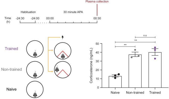 Figure 1—figure supplement 2.