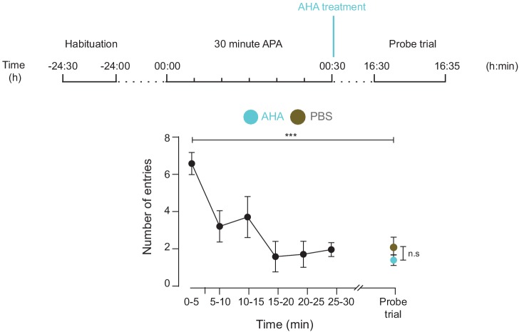 Figure 1—figure supplement 1.