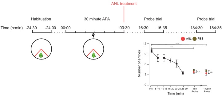 Figure 3—figure supplement 1.