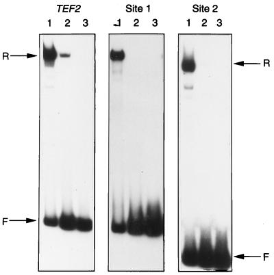 FIG. 6