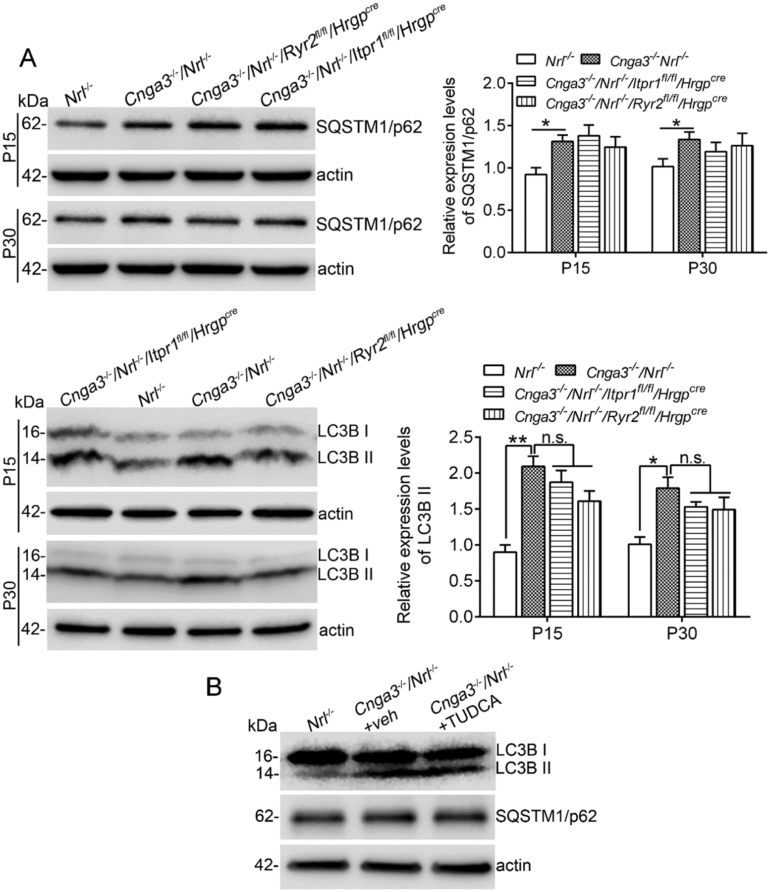 Figure 9.