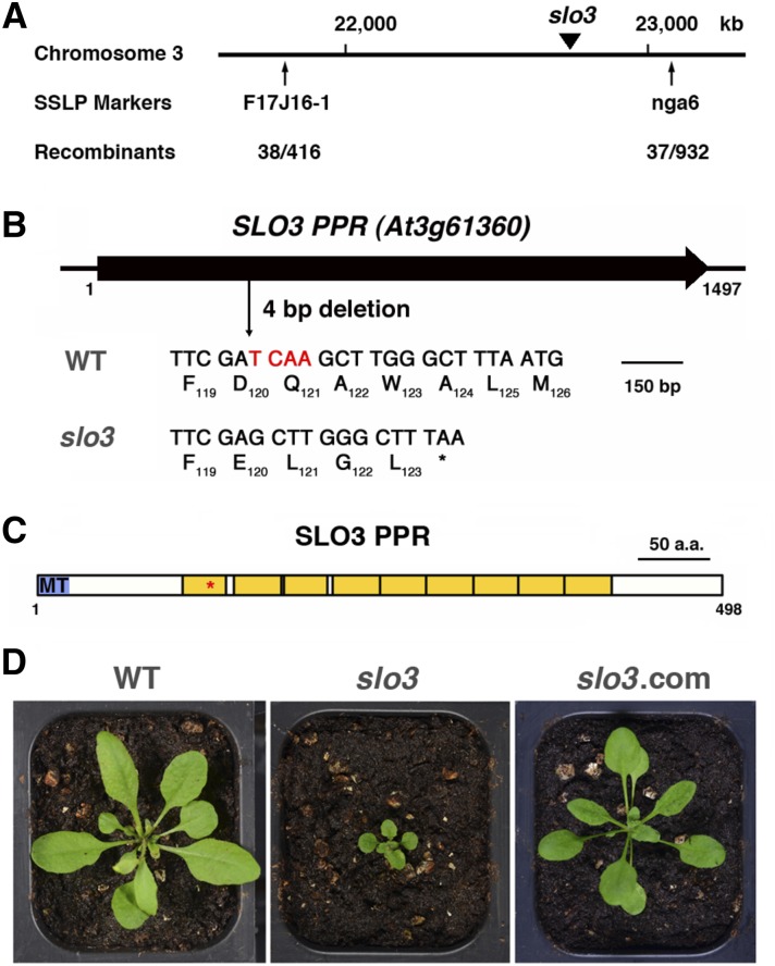 Figure 3.