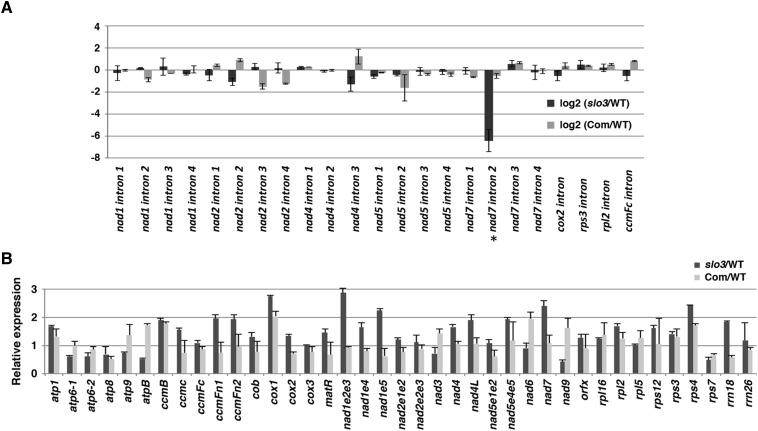 Figure 5.