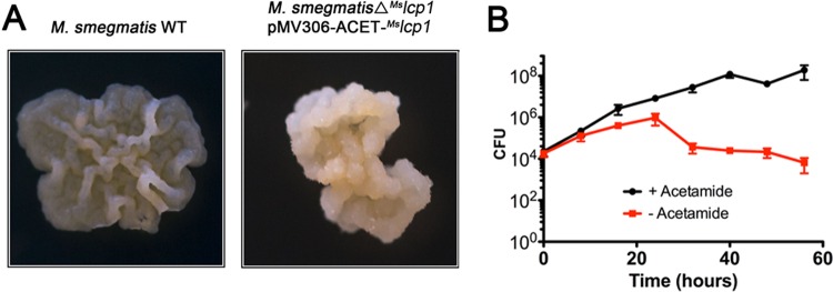 FIG 3 