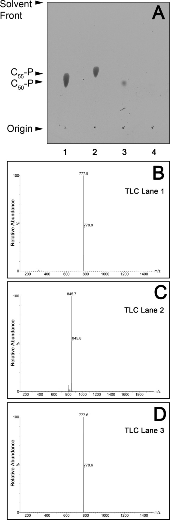 FIG 2 