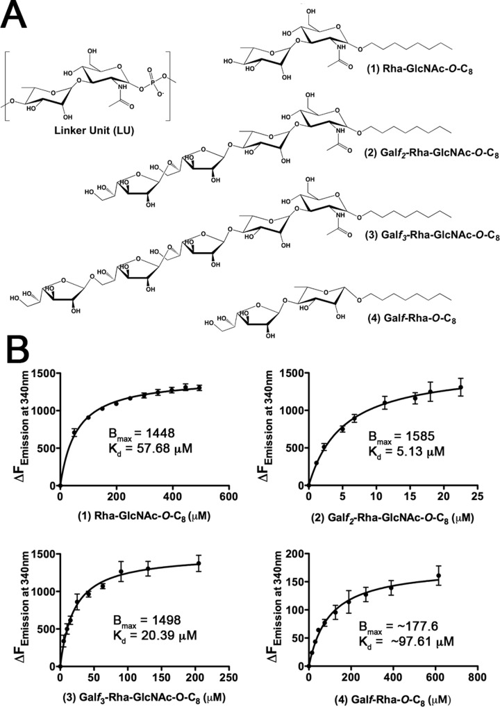 FIG 4 