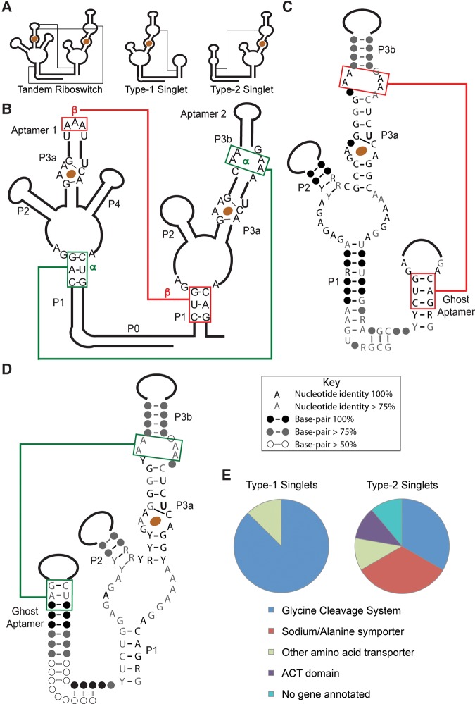 FIGURE 1.