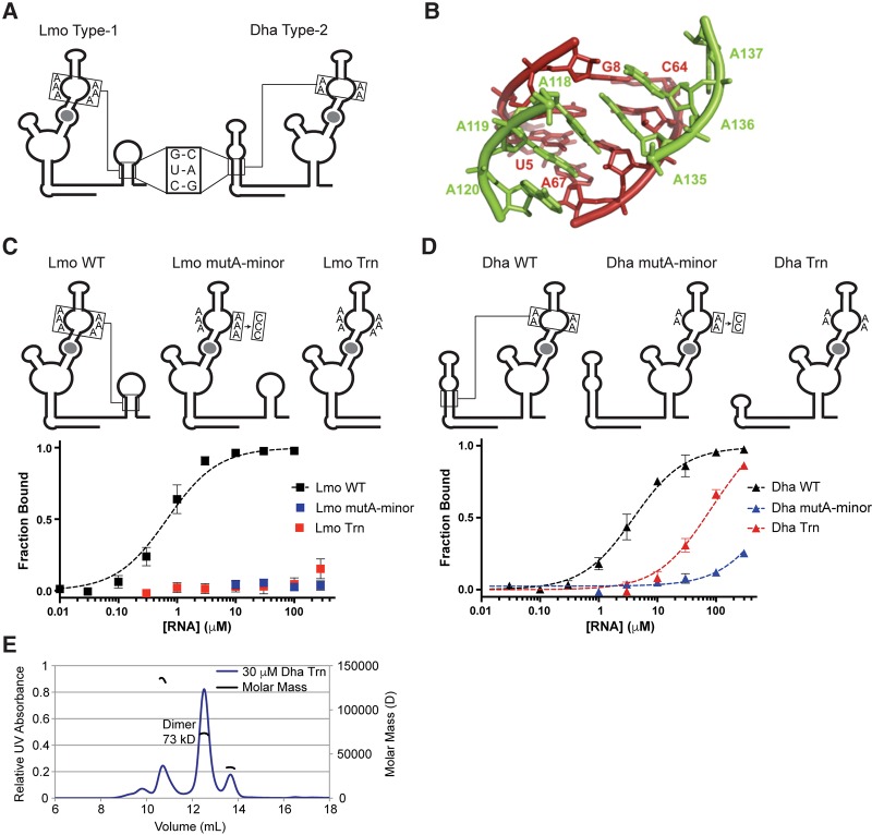 FIGURE 4.